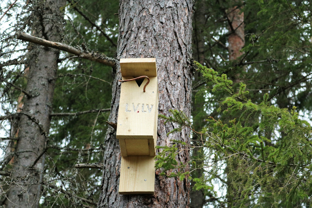“Latvijas Vēstneša” būrīši gaida ligzdotājus Slīterē